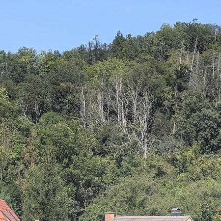 Ferienwohnung Mit Ausblick In Wimmelburg Exteriör bild