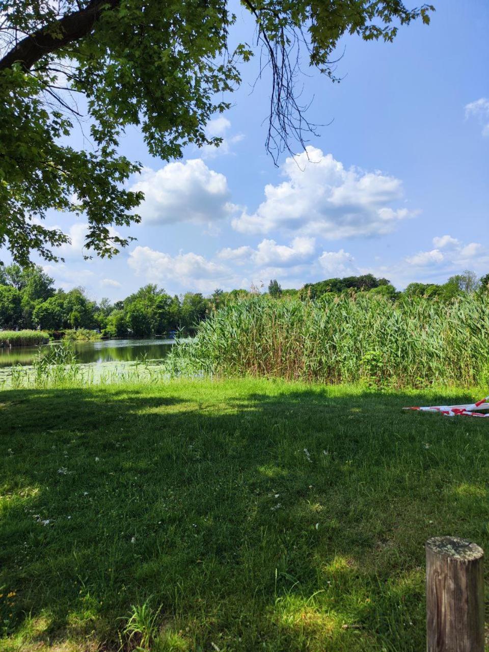 Ferienwohnung Mit Ausblick In Wimmelburg Exteriör bild